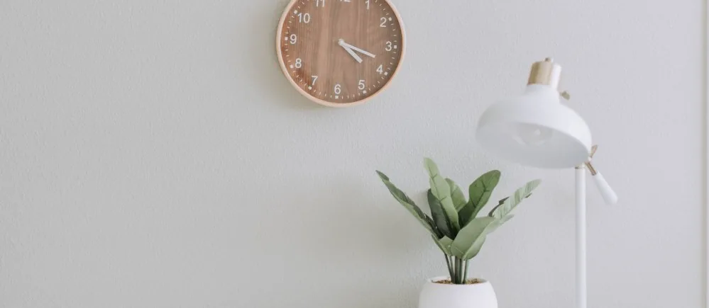Wall clock and a plant on a plain wall